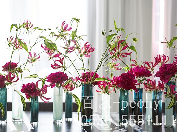 芍藥切花